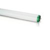 Linear Fluorescent