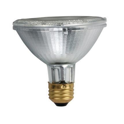 Philips Landscape Light Bulbs