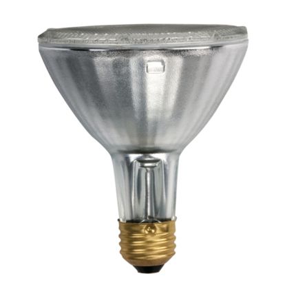 Philips Landscape Light Bulbs