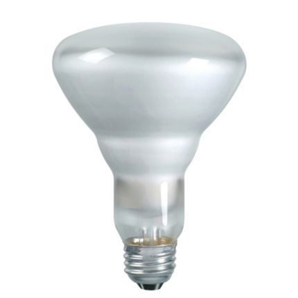 Philips Landscape Light Bulbs