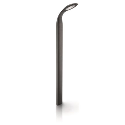 Philips Ledino Pie  16802/93/16