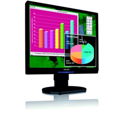 Philips Brilliance LCD monitor 19