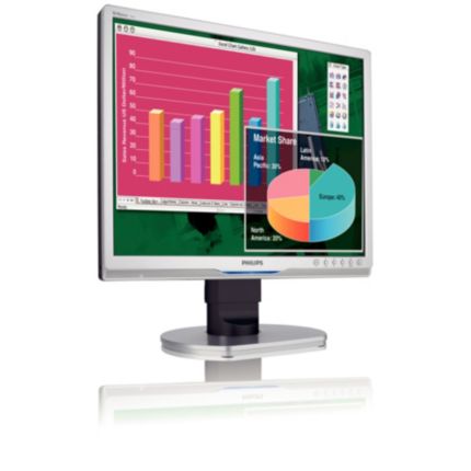 Philips Brilliance LCD monitor 19