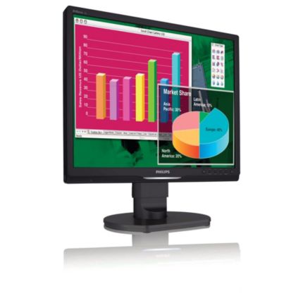 Philips Brilliance LCD monitor 19