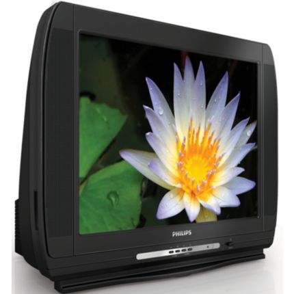 Philips  TV 21