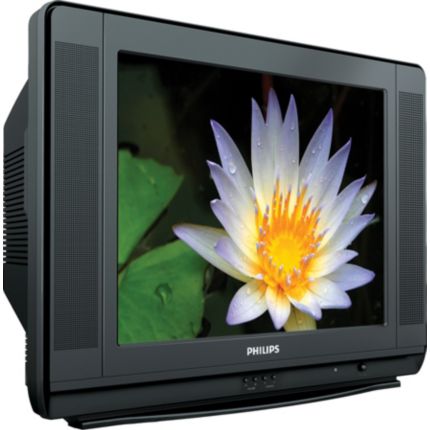 Philips  TV 21