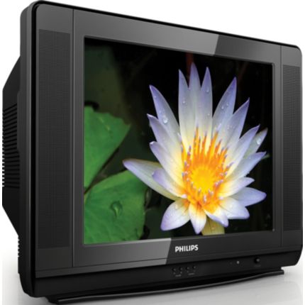 Philips  TV 21
