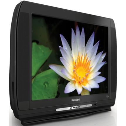 Philips  TV 21