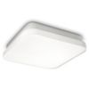 Ceiling light