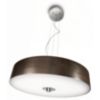 Suspension light