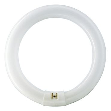 Philips  환형 형광등 40W 928026886529