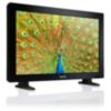 Monitor LCD
