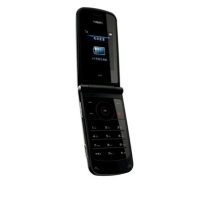 Philips  Xenium X600 CTX600GRY/40