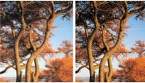 High definition JPEG playback for images in true resolution