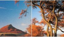 HDMI 1080p upscales to high definition for sharper pictures