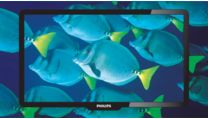 Digital Crystal Clear para detalhes e nitidez
