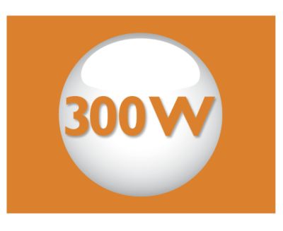 Powerful 300 W motor