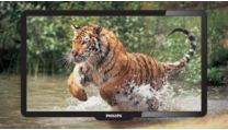Pixel Precise HD para imagens extremamente vivas e nítidas