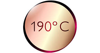 Température maximale de 190 °C pour des résultats parfaits