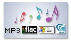 Odtwarzanie plików FLAC/MP3/WMA/ACC