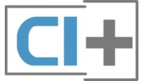 HDTV com recepção de MPEG4 através de sintonizador de DVB-T e DVB-C com CI+*