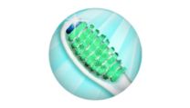 UV Sanitizer - Cleaner brush, better oral health