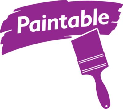 Paintable Surface