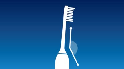 Angled brush head neck