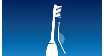Angled brush head neck for better reach to back teeth