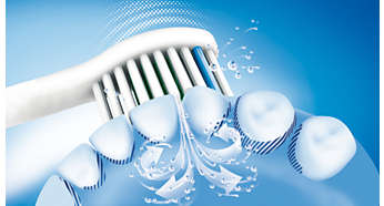 Dynamische Sonicare Flüssigkeitsströmung unterstützt die Reinigungsleistung der Borsten in den Zahnzwischenräumen