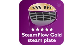 SmartFlow Gold steam plate for great results