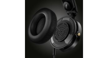 Detachable, replaceable and comfortable ear cushions