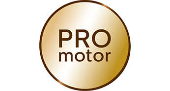 Motor DC profesional