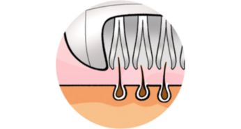 Corta até os pelos mais curtos (0,5 mm)