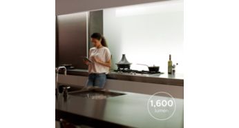 Putere mare de iluminare pentru utilizare funcţională sau decorativă