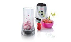 Измельчитель