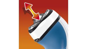 Sistema Reflex Action