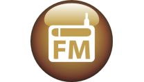 Digital FM radio