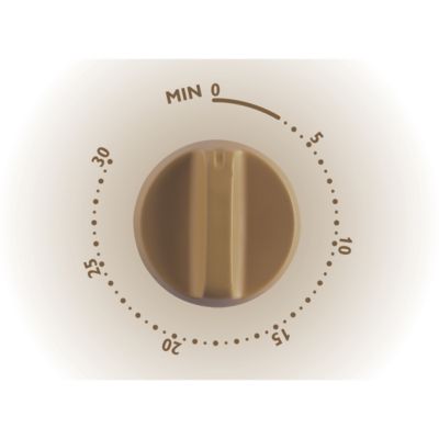 Electro-mechanical timer