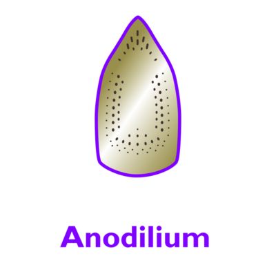 Anodilium soleplate