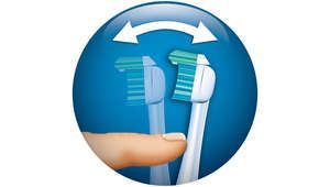 Sistema de protección de encías