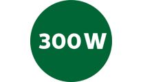 Potente motor de 300 W