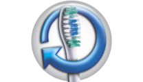Gründliche Reinigung für optimale Ergebnisse