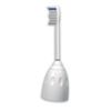 Toothbrush head