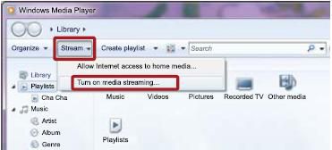 Windows Media Player