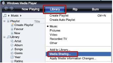 Windows Media player - Library