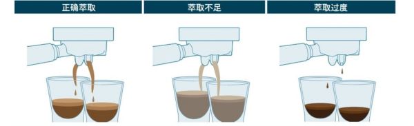 extraction