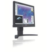 Brilliance LCD monitor