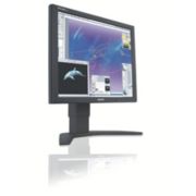 Brilliance LCD monitor