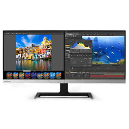 Brilliance Two-in-One LCD monitor
